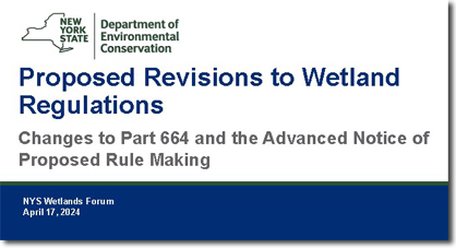 Proposed Revisions to Wetland Regulations